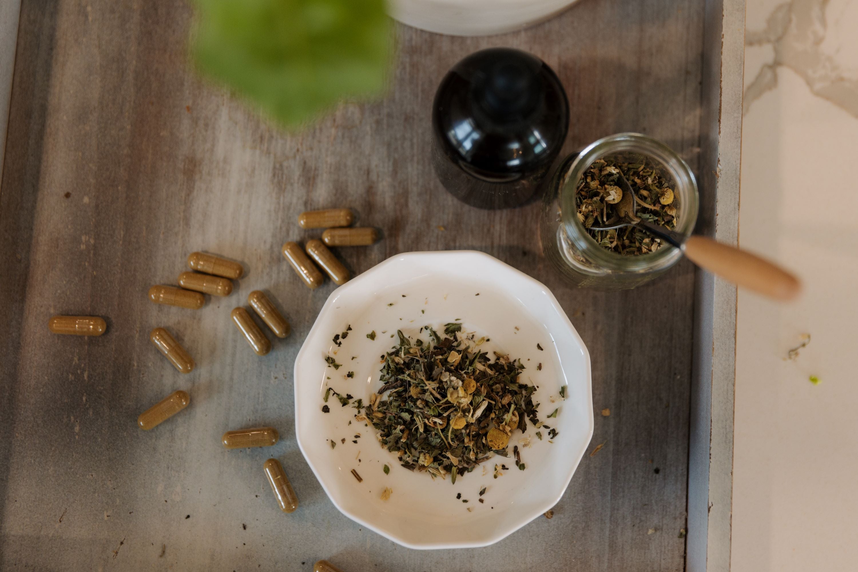 Intro to Natural Healing Workshop (Online)
